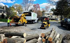  Eleanor, WV Tree Services Pros